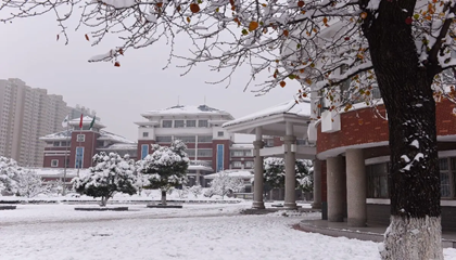 山东︱枣庄实验学校